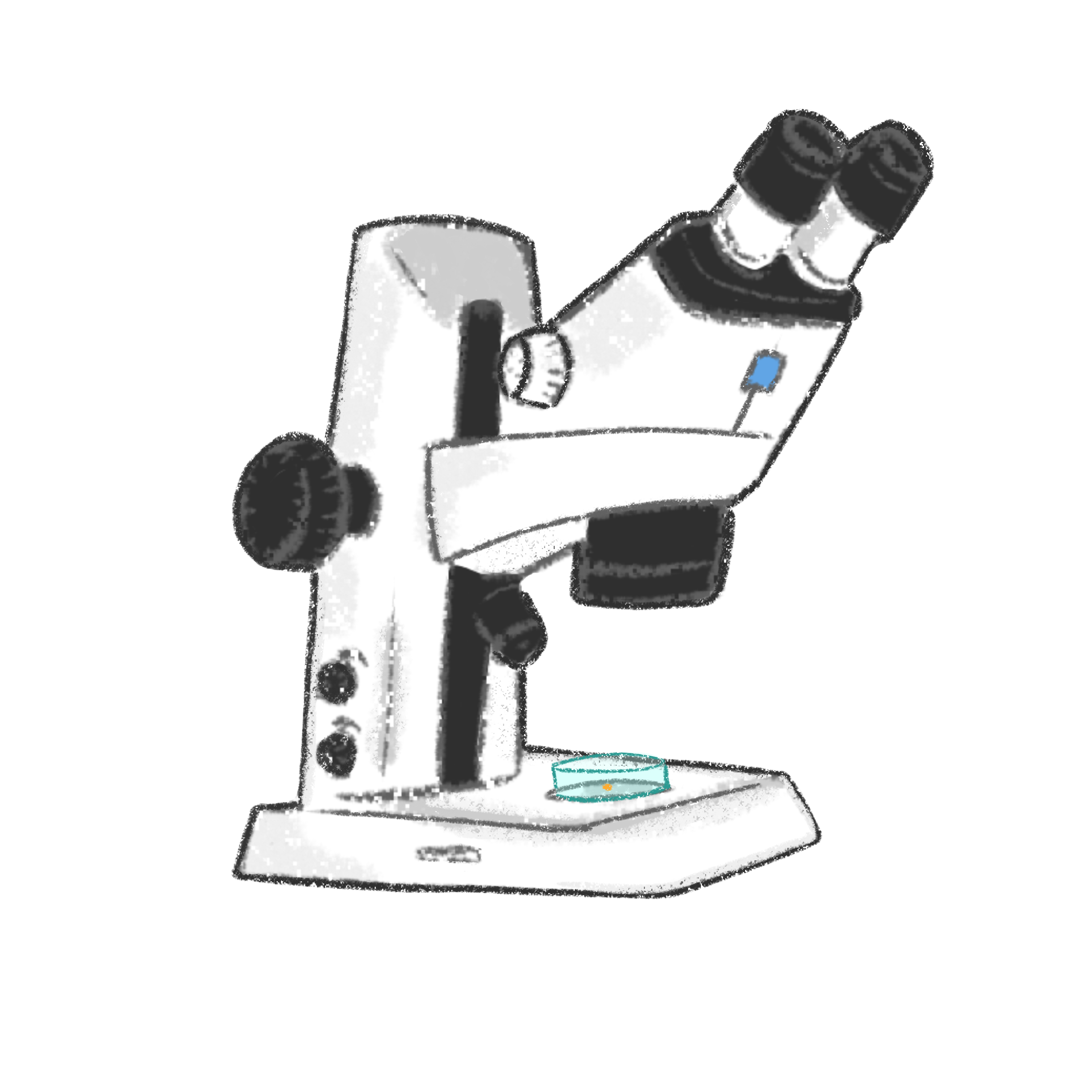 Microscope illustration